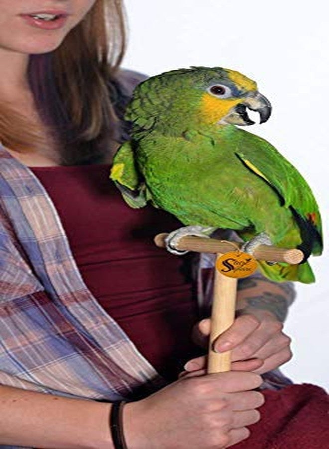 سايج سكوير حامل Sage Square اليدوي الآمن للتعامل مع الطيور وتدريبها، مصنوع من الخشب الطبيعي، وهو مناسب للطيور مثل الكوكاتيل، والببغاء، وببغاء الشمس، والمكاو، والببغاء الرمادي الأفريقي، والكوكاتو. - Image 3